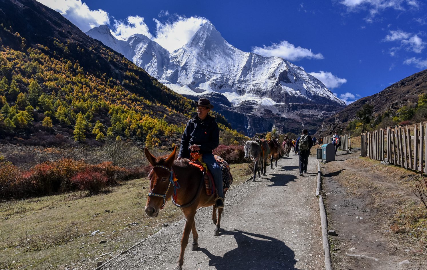 riding horse to Milk lake at Yading Nature Reserve